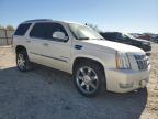 Lot #3034567793 2014 CADILLAC ESCALADE P