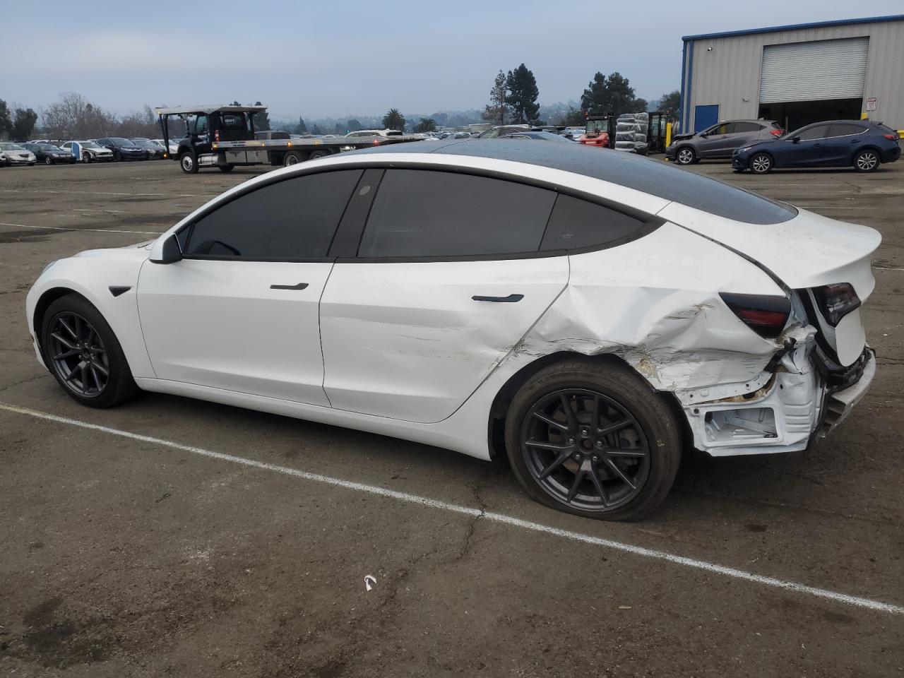 Lot #3044771018 2021 TESLA MODEL 3