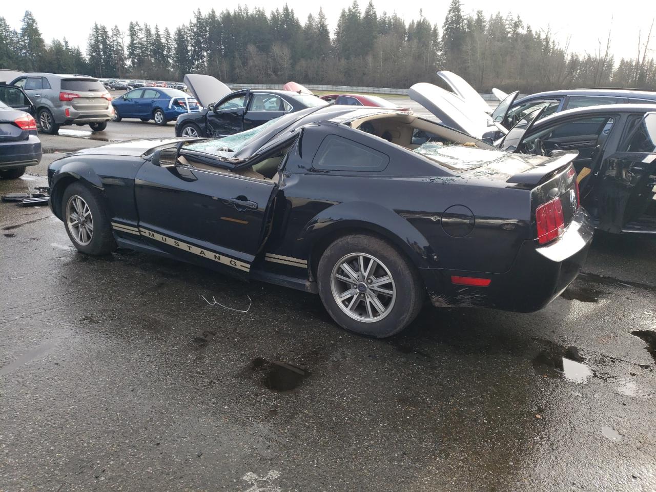 Lot #3045593672 2005 FORD MUSTANG