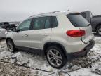 Lot #3023871831 2013 VOLKSWAGEN TIGUAN S