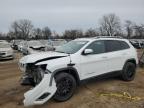 2020 JEEP CHEROKEE L - 1C4PJMDX3LD591691