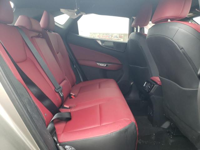 2024 LEXUS NX 250 BAS 2T2ADCAZ5RC010478