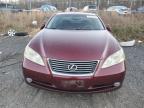 Lot #3024307023 2008 LEXUS ES 350