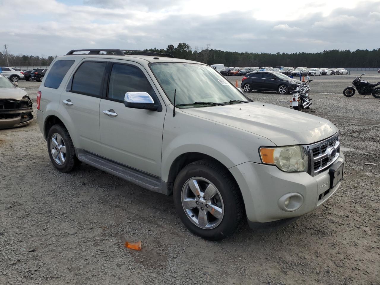 Lot #3030784439 2009 FORD ESCAPE XLT