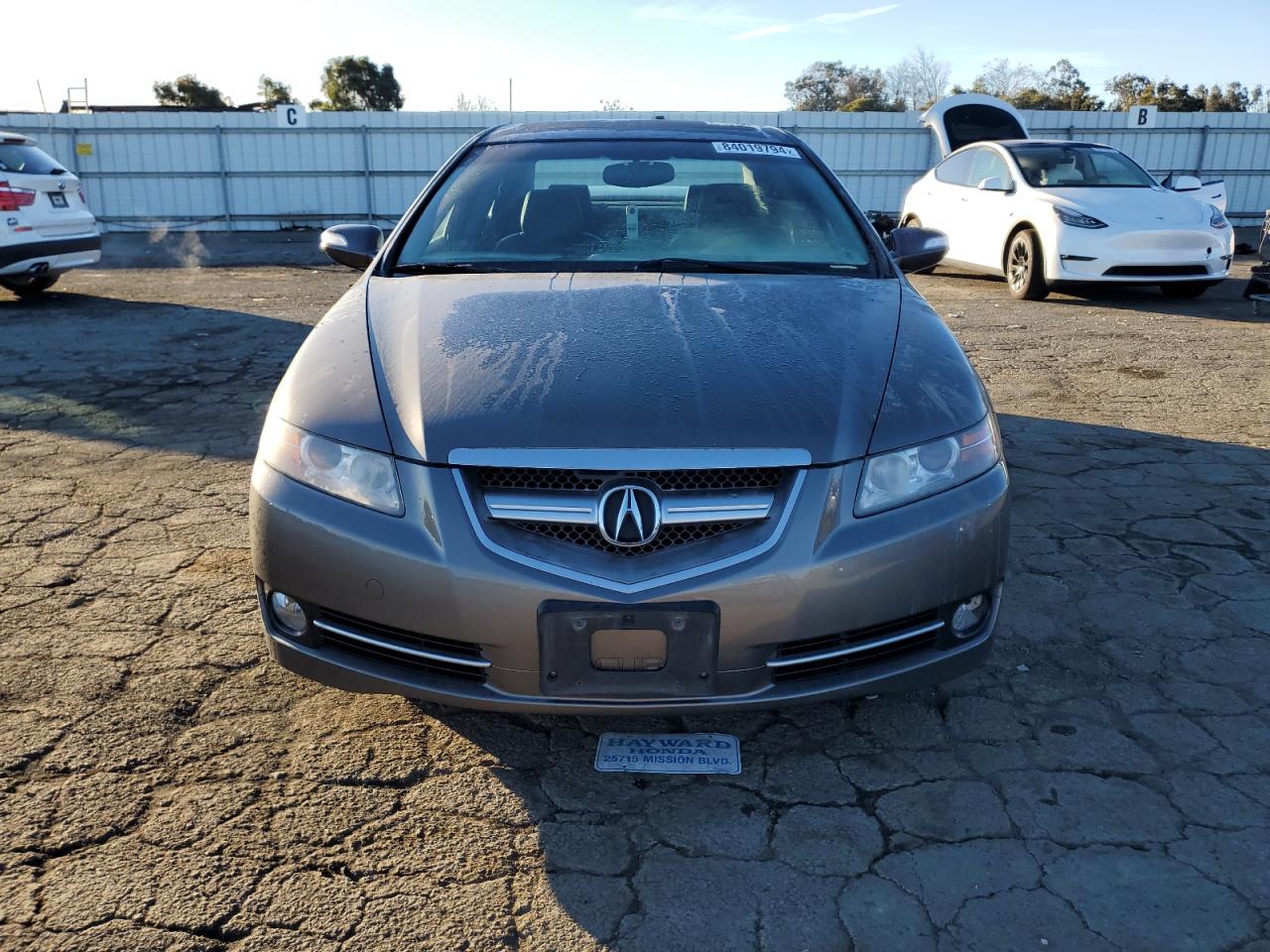 Lot #3031762999 2008 ACURA TL