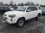 2022 TOYOTA 4RUNNER SR - JTERU5JR0N6068532