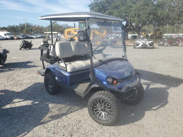 2022 OTHER GOLF CART #3049502639