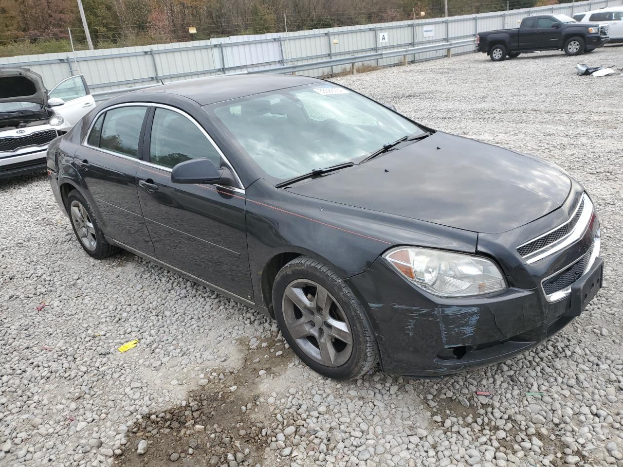 Lot #3024153860 2009 CHEVROLET MALIBU 1LT