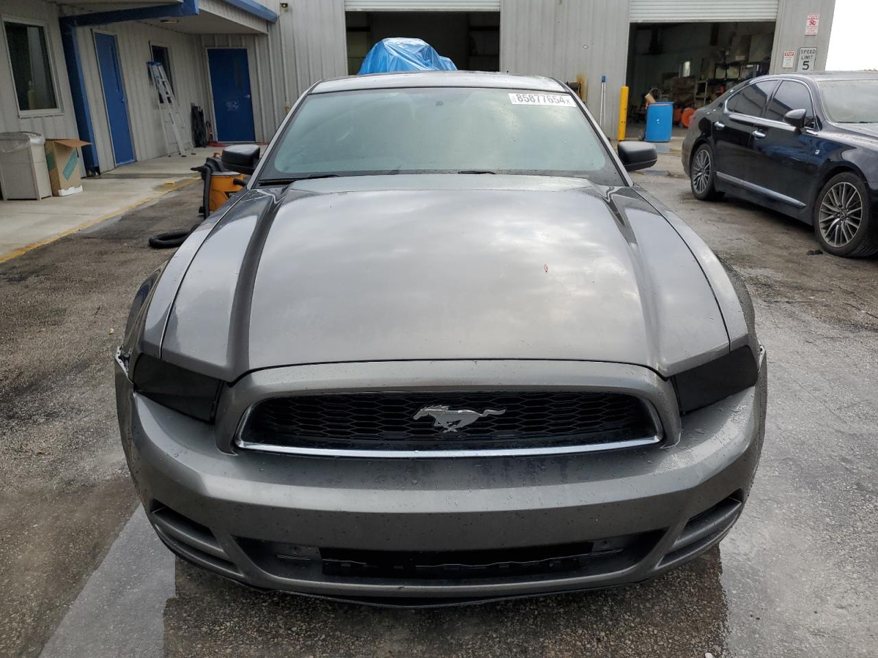 Lot #3042041213 2014 FORD MUSTANG