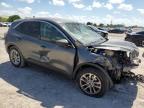 Lot #3024634658 2022 FORD ESCAPE SE