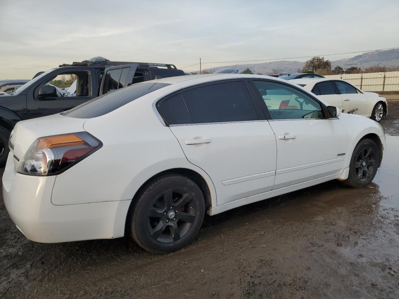 Lot #3030388467 2008 NISSAN ALTIMA HYB