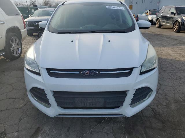 VIN 1FMCU0GXXEUB80524 2014 FORD ESCAPE no.5