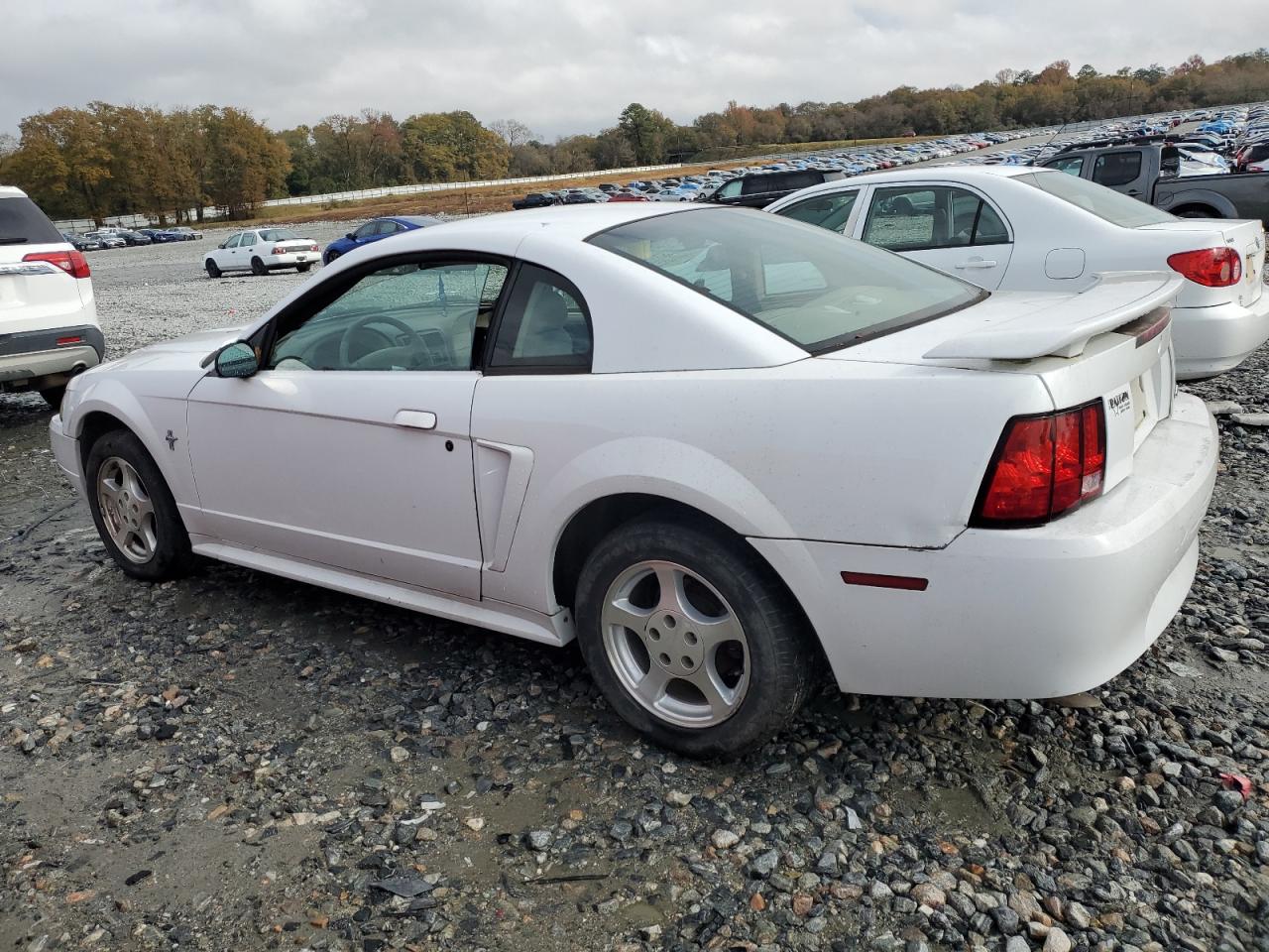 Lot #3024489526 2003 FORD MUSTANG