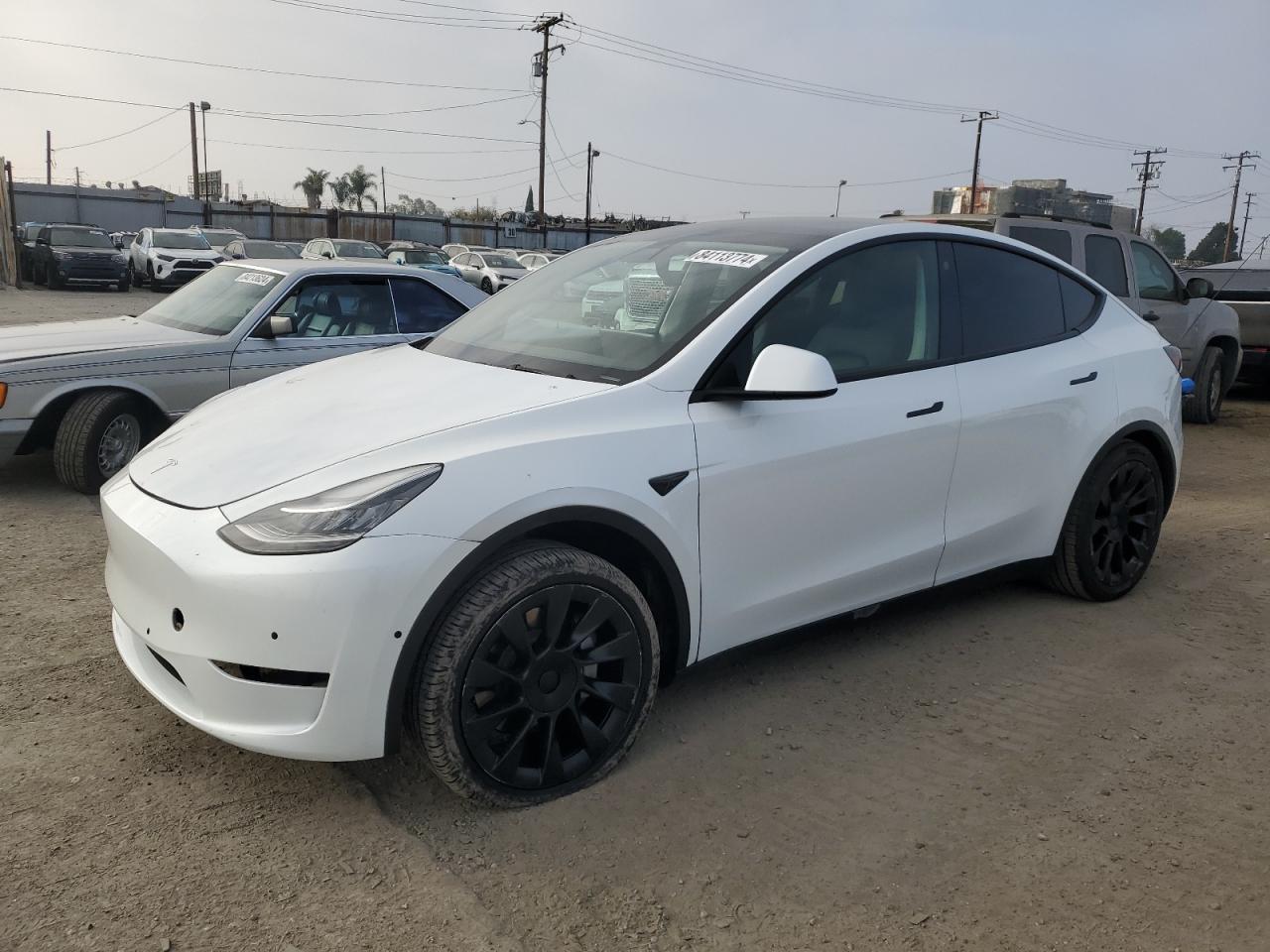 Lot #3024348549 2021 TESLA MODEL Y