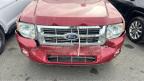 Lot #3024895406 2010 FORD ESCAPE XLT