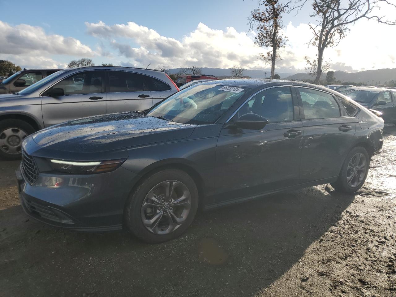 HONDA ACCORD EX