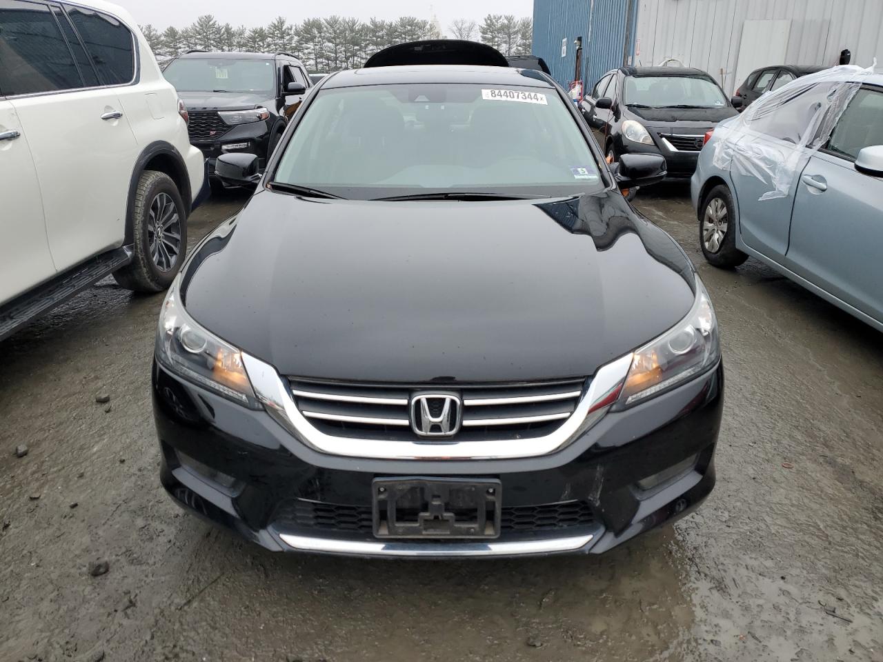 HONDA ACCORD EXL
