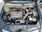 Lot #3023910323 2008 HONDA ACCORD LXP