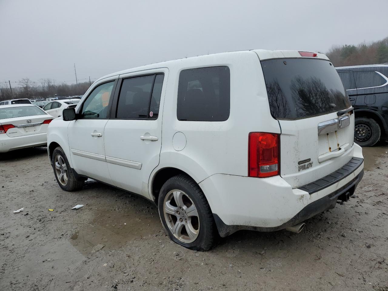 Lot #3024390546 2013 HONDA PILOT