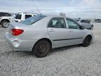 Lot #3025730313 2005 TOYOTA COROLLA CE