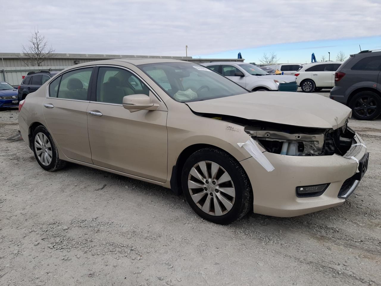 Lot #3028596941 2014 HONDA ACCORD EXL