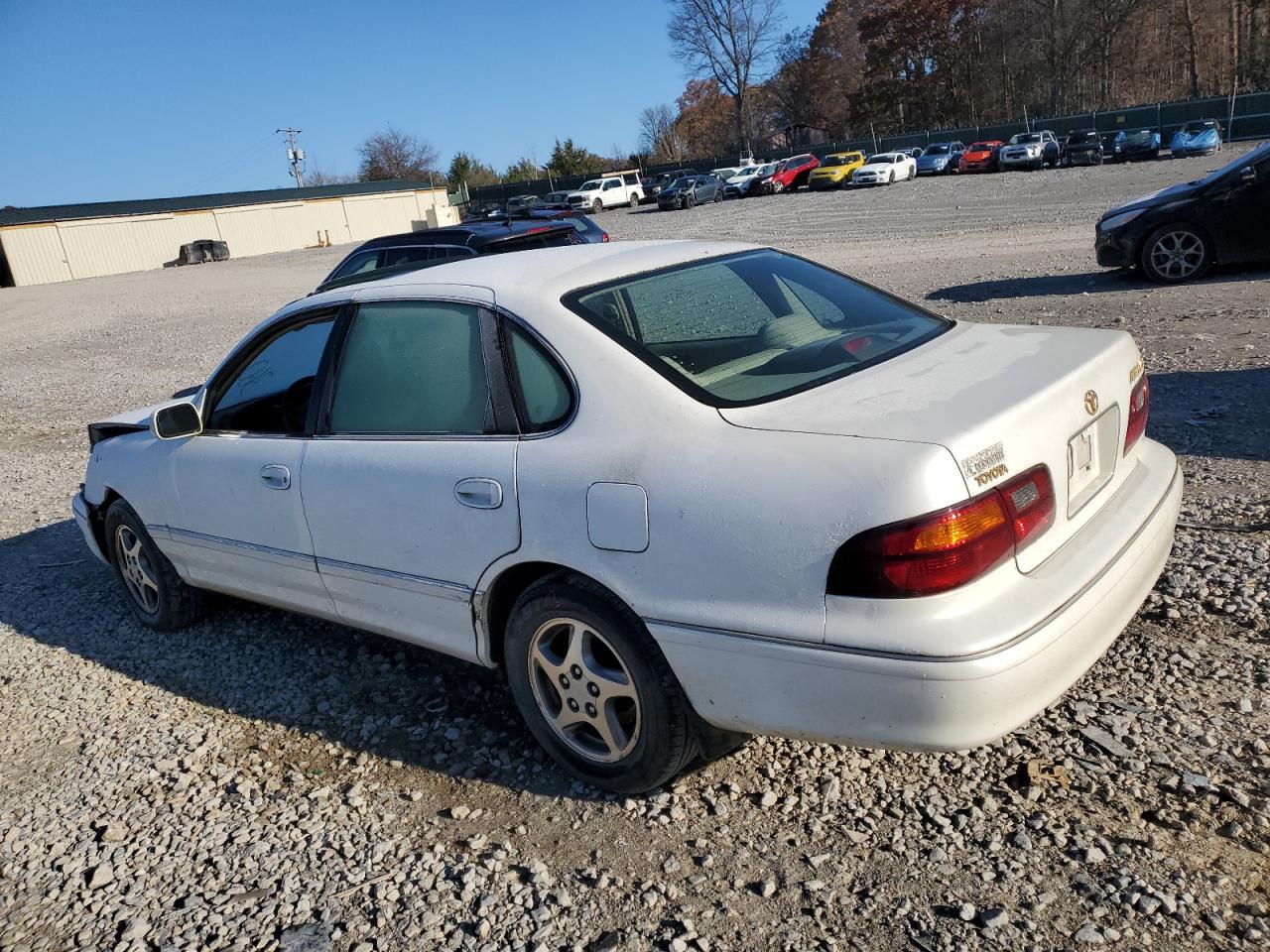 Lot #3024667656 1998 TOYOTA AVALON XL