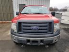 Lot #3024741229 2010 FORD F150