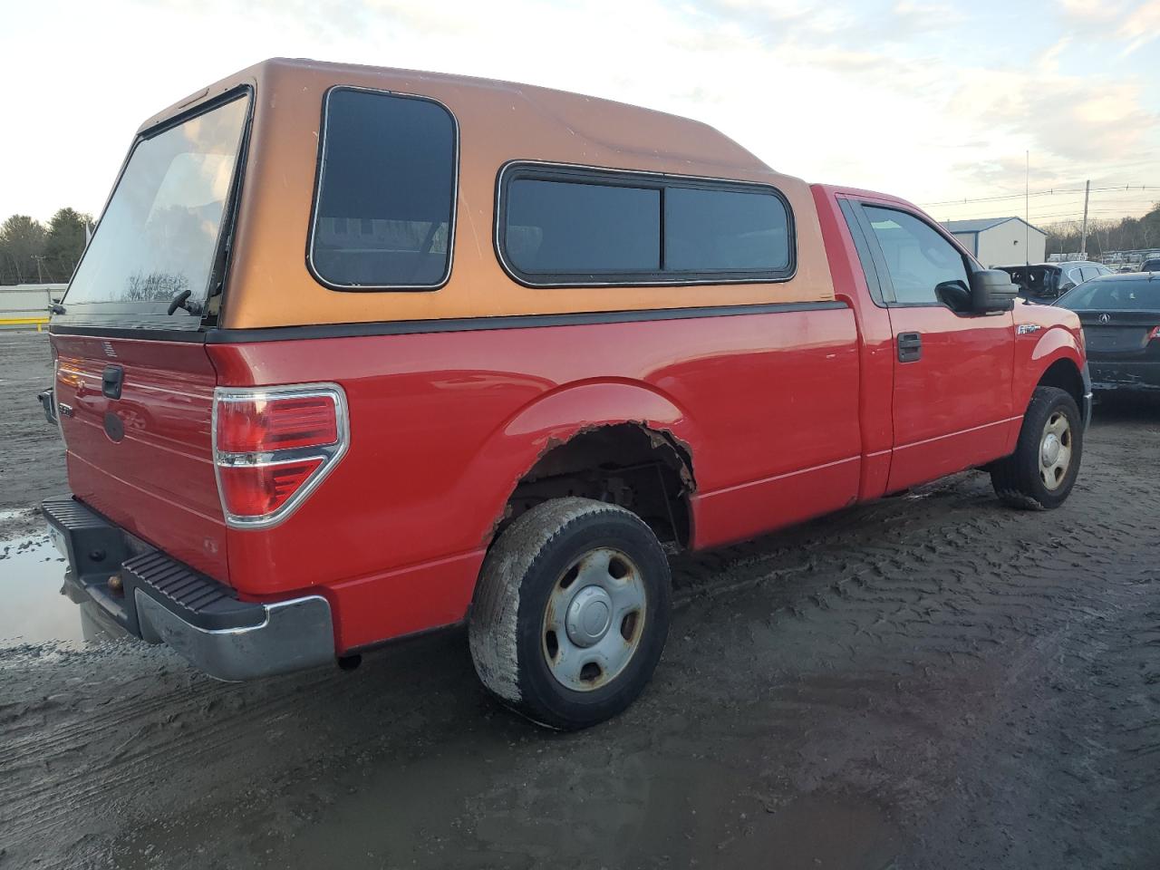 Lot #3044418770 2009 FORD F150