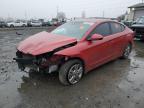 Lot #3028989747 2017 HYUNDAI ELANTRA SE