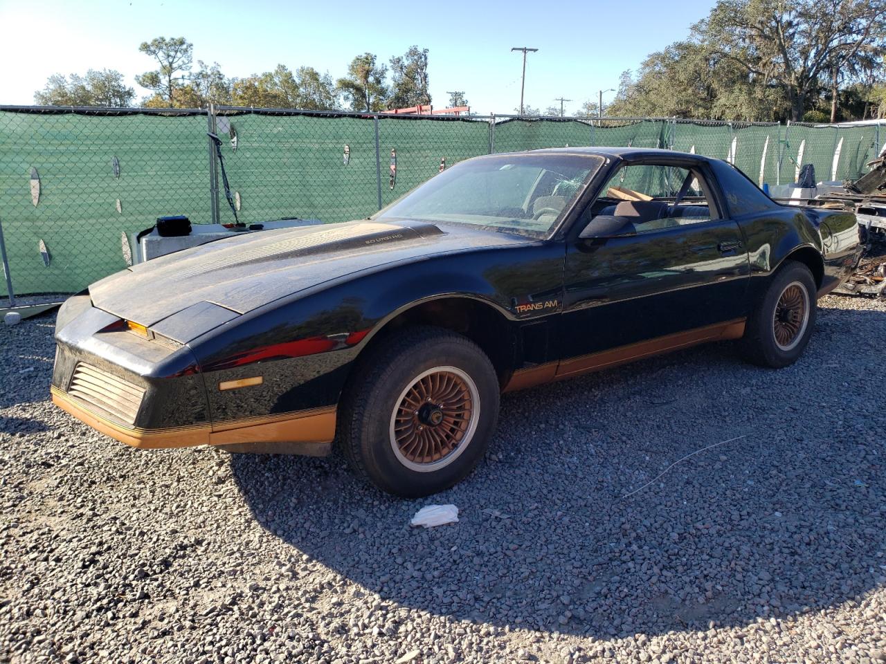 Lot #3031489818 1983 PONTIAC FIREBIRD T