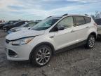 Lot #3024529400 2014 FORD ESCAPE SE