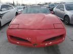 Lot #3049653206 1991 PONTIAC FIREBIRD B