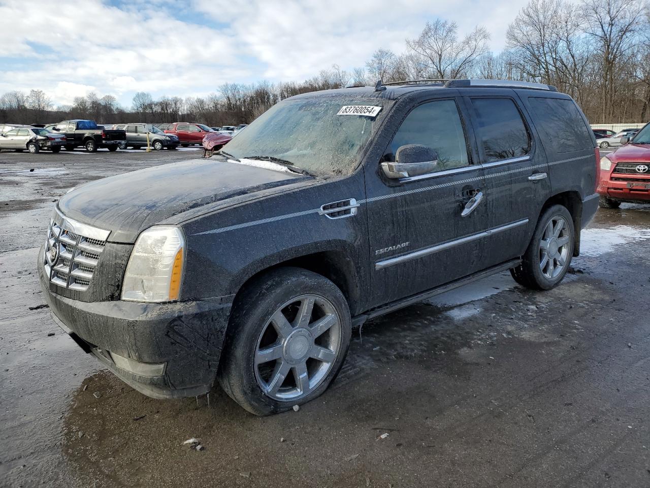 Lot #3029574070 2011 CADILLAC ESCALADE P