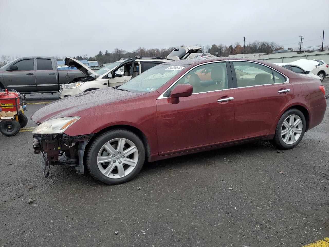 Lot #3030636116 2007 LEXUS ES 350