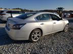 Lot #3023051086 2014 NISSAN MAXIMA S