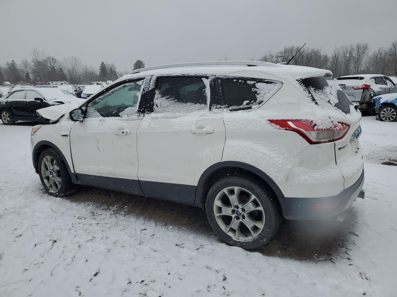 Lot #3055311341 2014 FORD ESCAPE TIT