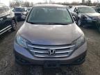 Lot #3024653661 2012 HONDA CR-V EX