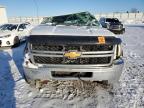 Lot #3030524518 2014 CHEVROLET SILVERADO