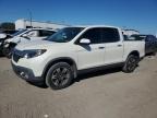 Lot #3023920358 2019 HONDA RIDGELINE