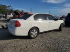 CHEVROLET MALIBU LS 1G1ZT52895F339707 photo