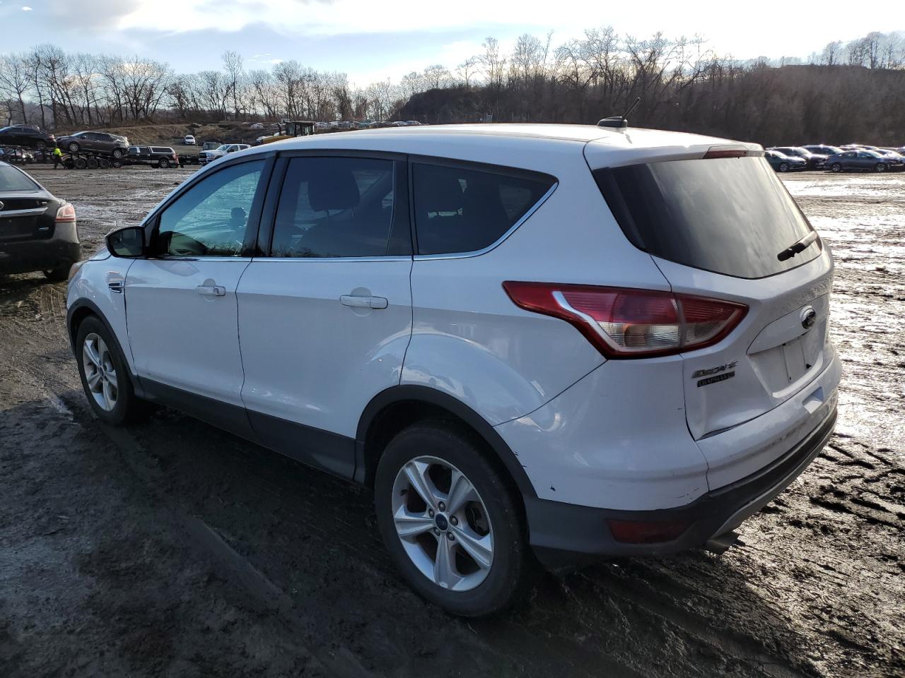 Lot #3044392796 2014 FORD ESCAPE SE