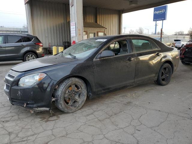 Vin: 1g1zb5e01cf372755, lot: 83187754, chevrolet malibu ls 2012 img_1