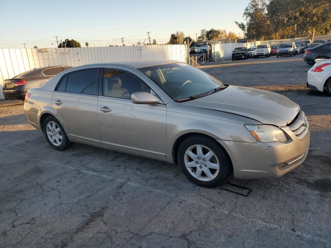 Lot #3033462094 2006 TOYOTA AVALON XL