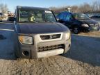 Lot #3023730913 2003 HONDA ELEMENT EX