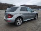 Lot #3027009803 2011 MERCEDES-BENZ ML 350 BLU