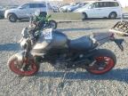 Lot #3023857816 2022 DUCATI MONSTER