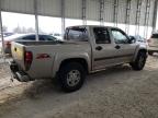 Lot #3025117179 2005 CHEVROLET COLORADO