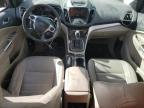 Lot #3027163300 2013 FORD ESCAPE SEL