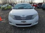 Lot #3024608728 2010 TOYOTA VENZA