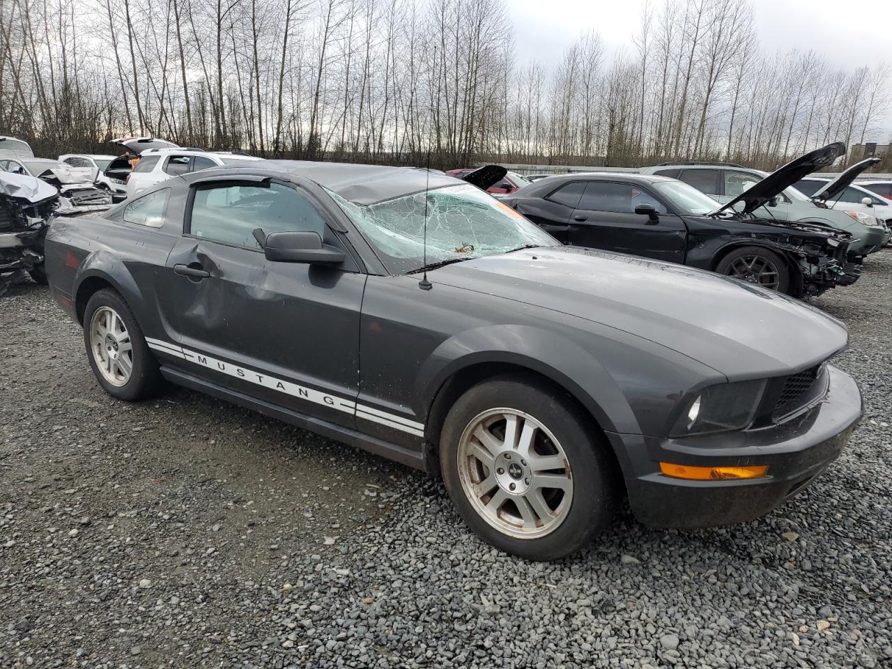 Lot #3045593673 2007 FORD MUSTANG